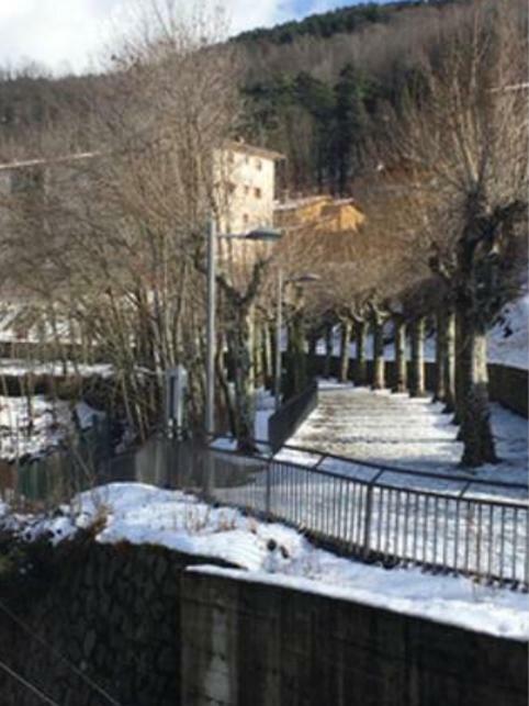 Precioso Apartamento Con Vistas Montana O Rio Ribes De Freser Buitenkant foto